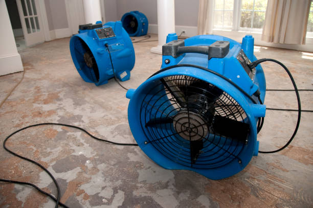 Best Flooded house restoration  in Covington, LA