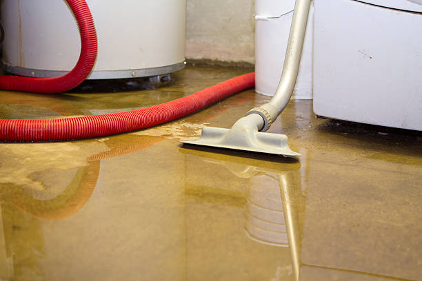 Best Sewage cleanup and water damage restoration  in Covington, LA